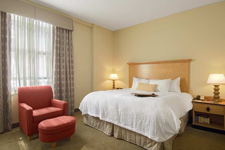 Hampton Inn & Suites Atlanta-Downtown Pokój zdjęcie
